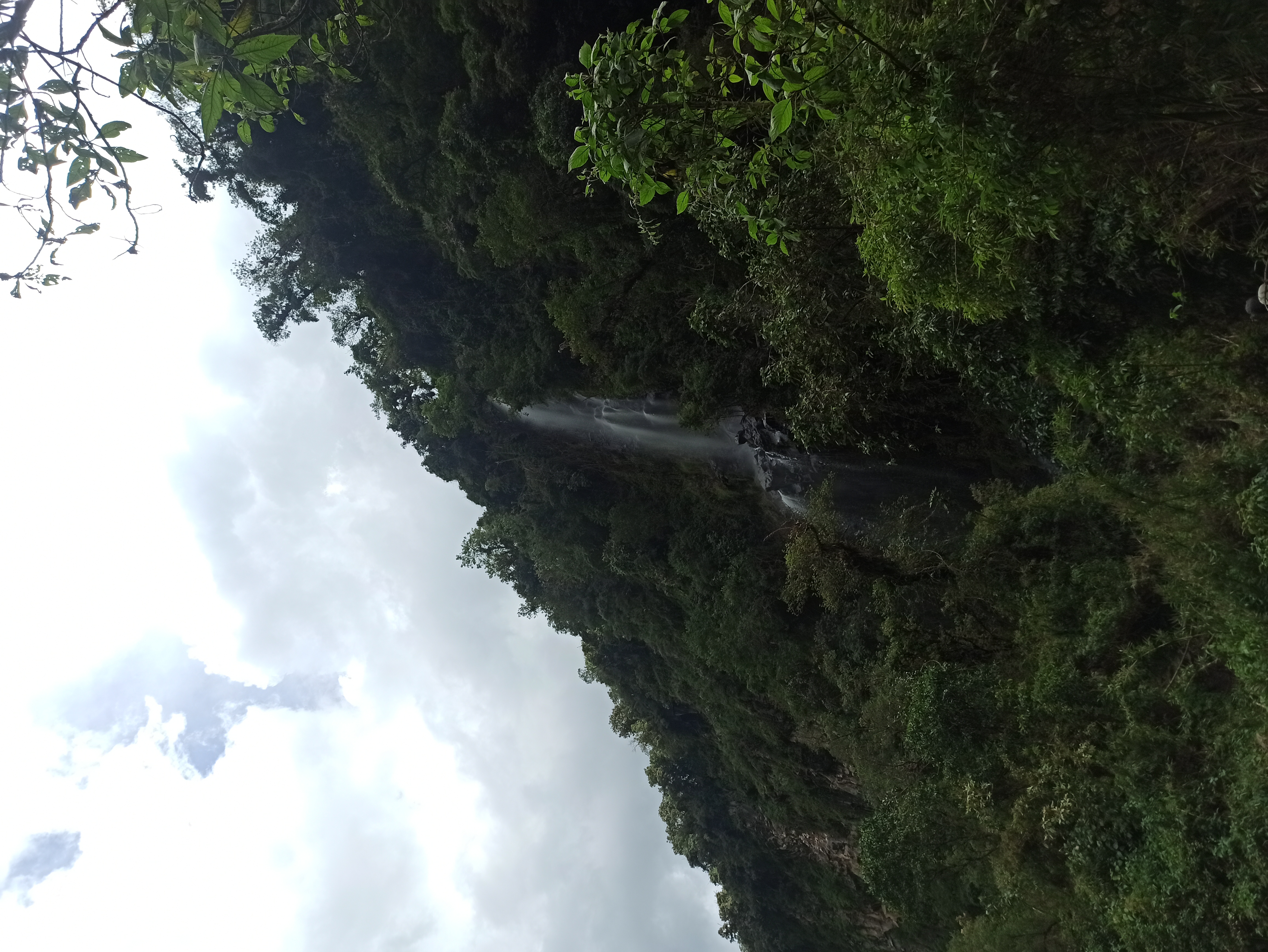 IMG_20220416_134451.jpg