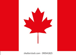 images (6).png