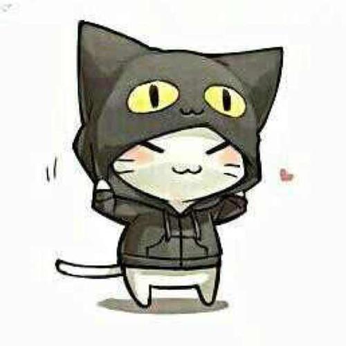 wang.han