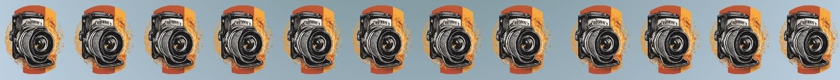 Concurso fotográfico (16).jpg