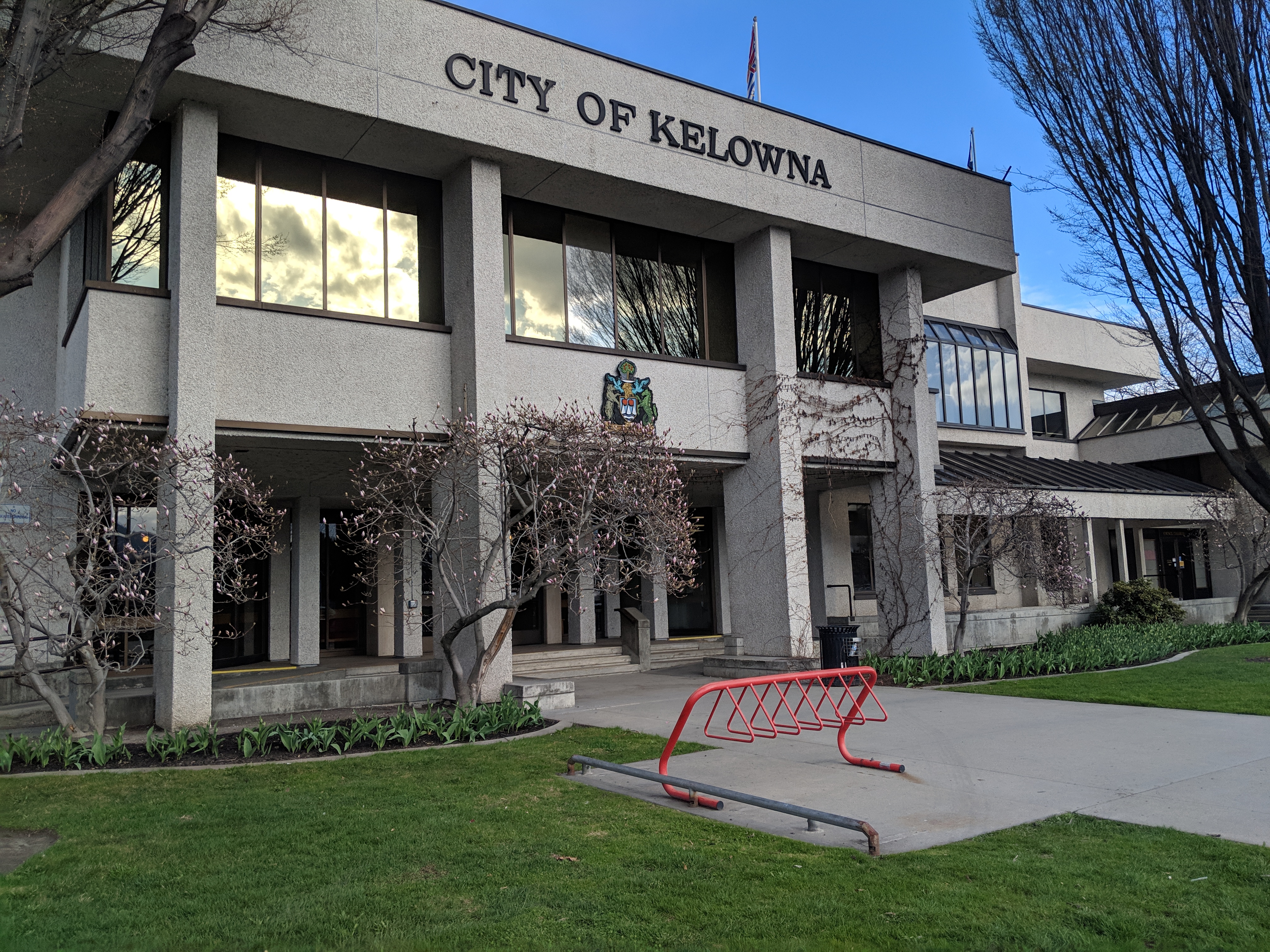 MVIMG_20190412_165044.jpg
