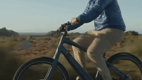 giphy (13).gif