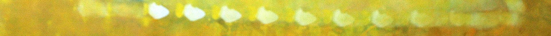 small banner 40.jpg