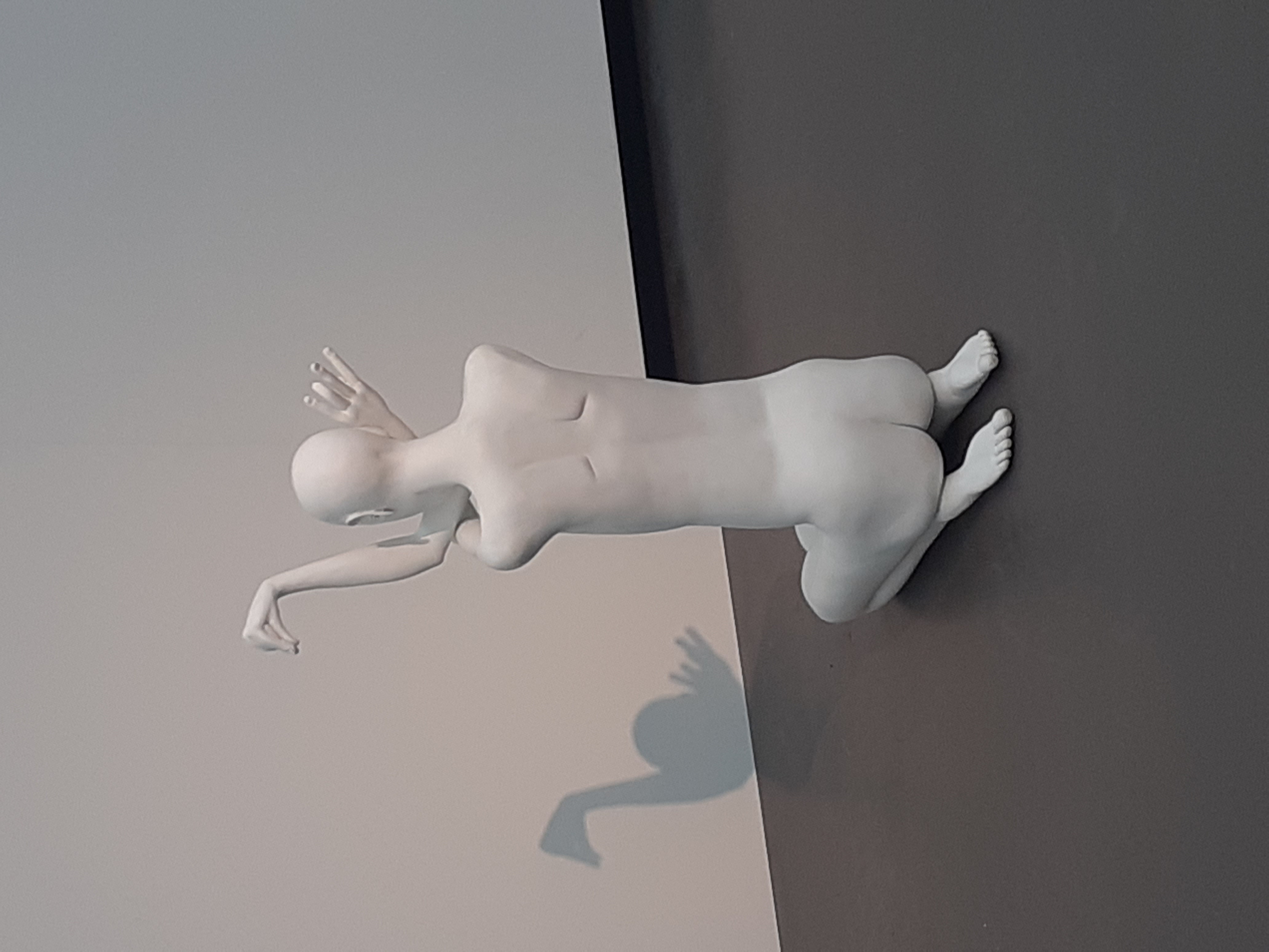 20260815_143306.jpg