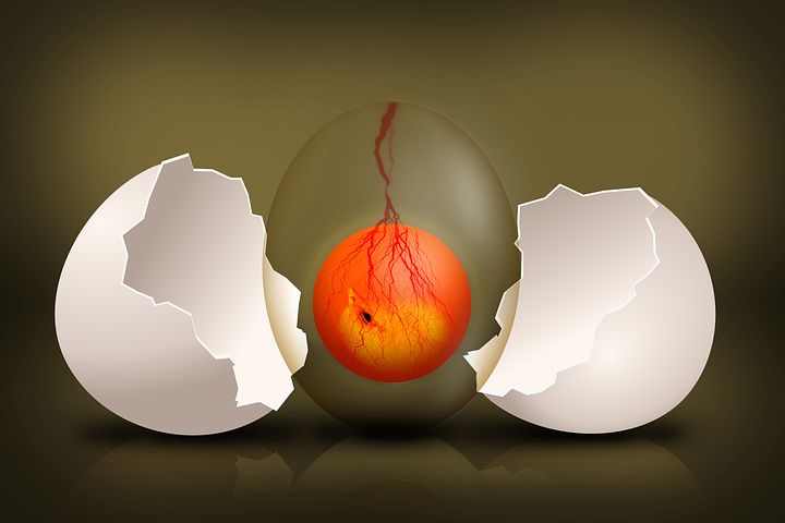 766E87A9-4045-4559-81F8-1AFFFA897320.jpeg