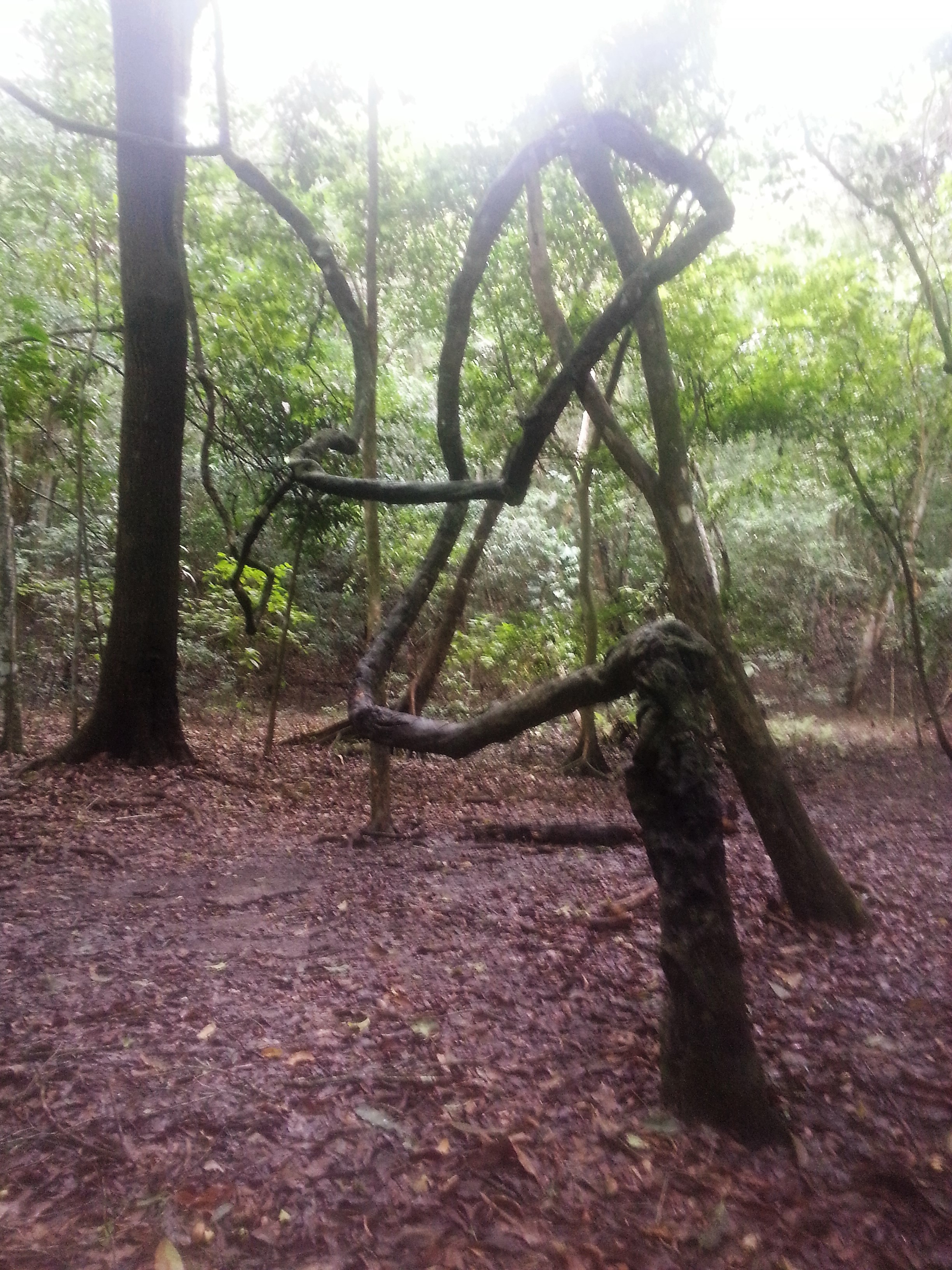 20180714_102405.jpg