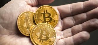 btc_palm.jpg
