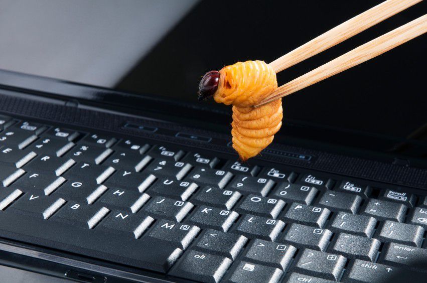 laptopgrub.jpg