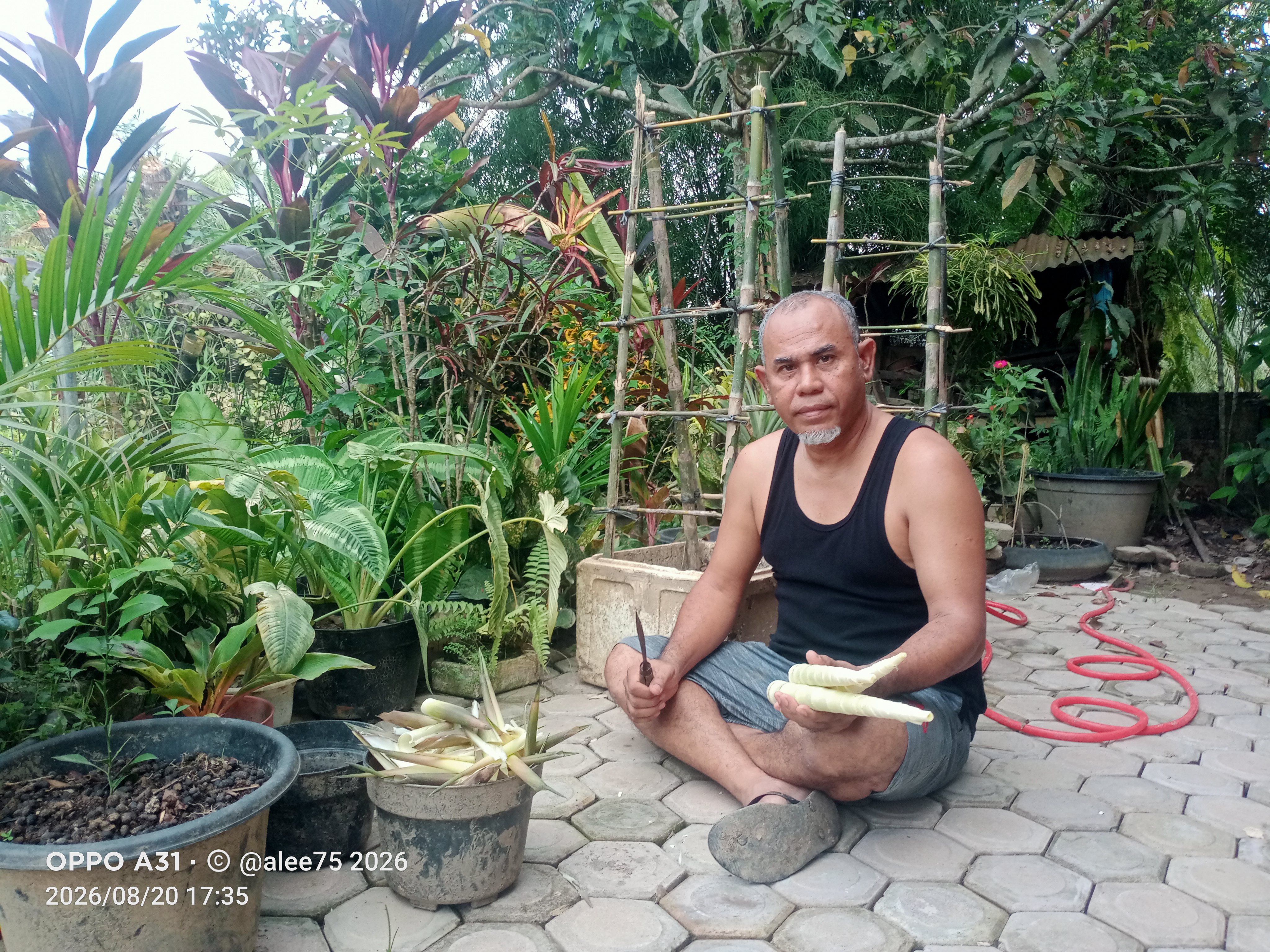 IMG20260820173617.jpg