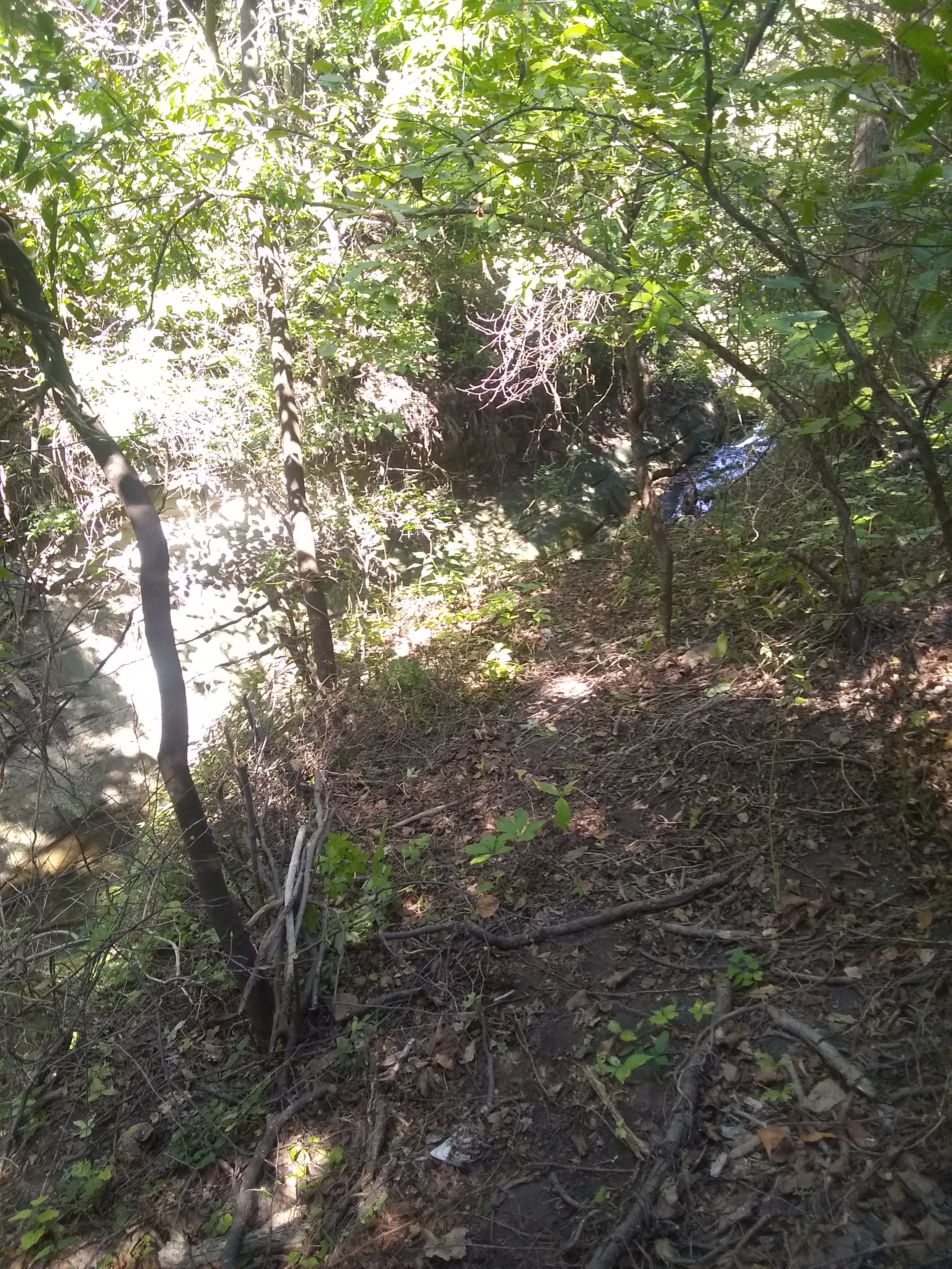 IMG_20190906_113933748.jpg