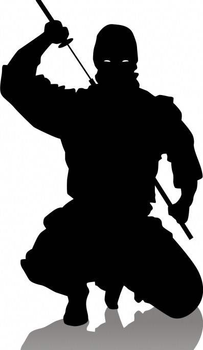ninjaaa