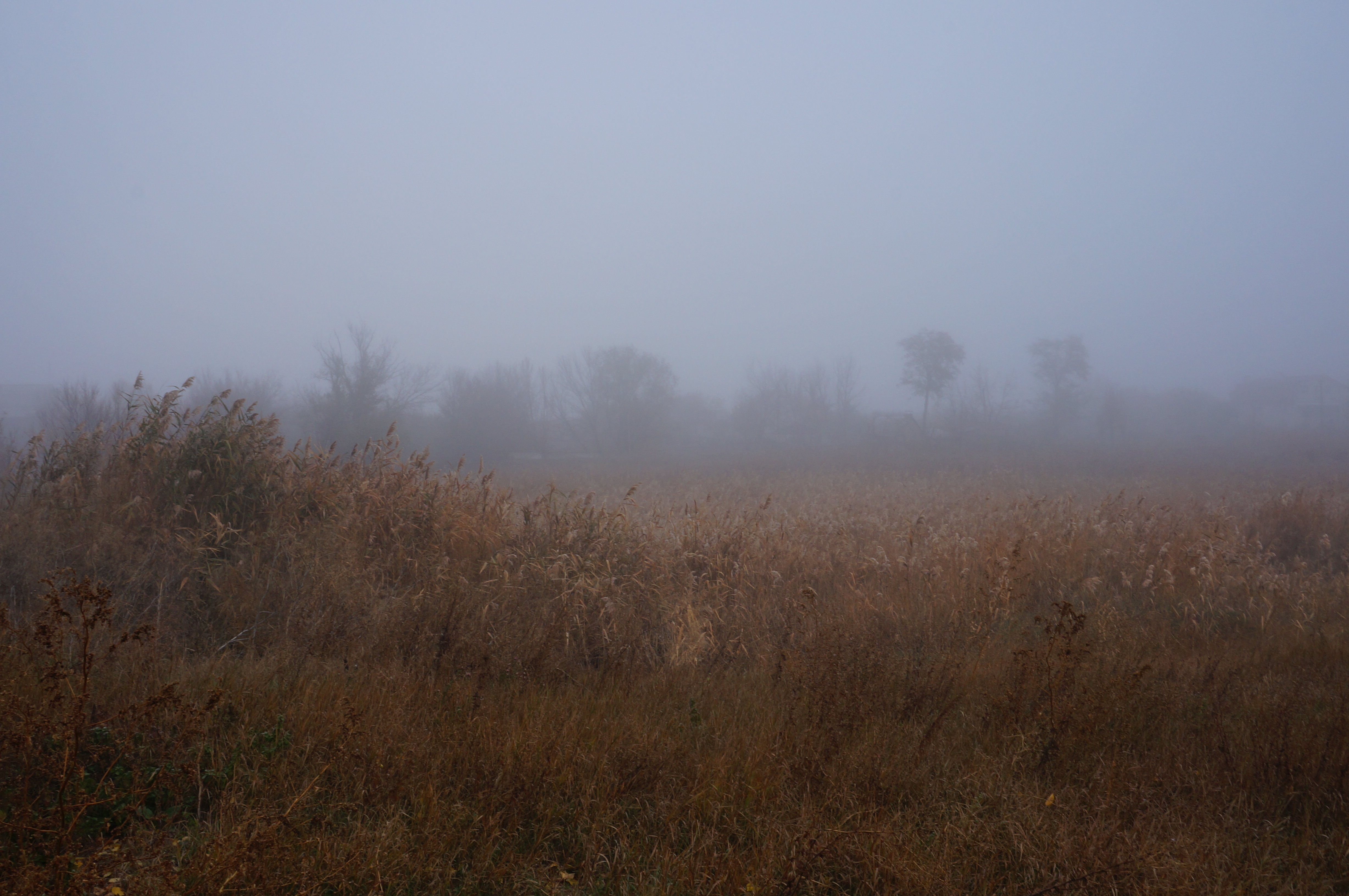 DSC01593.JPG