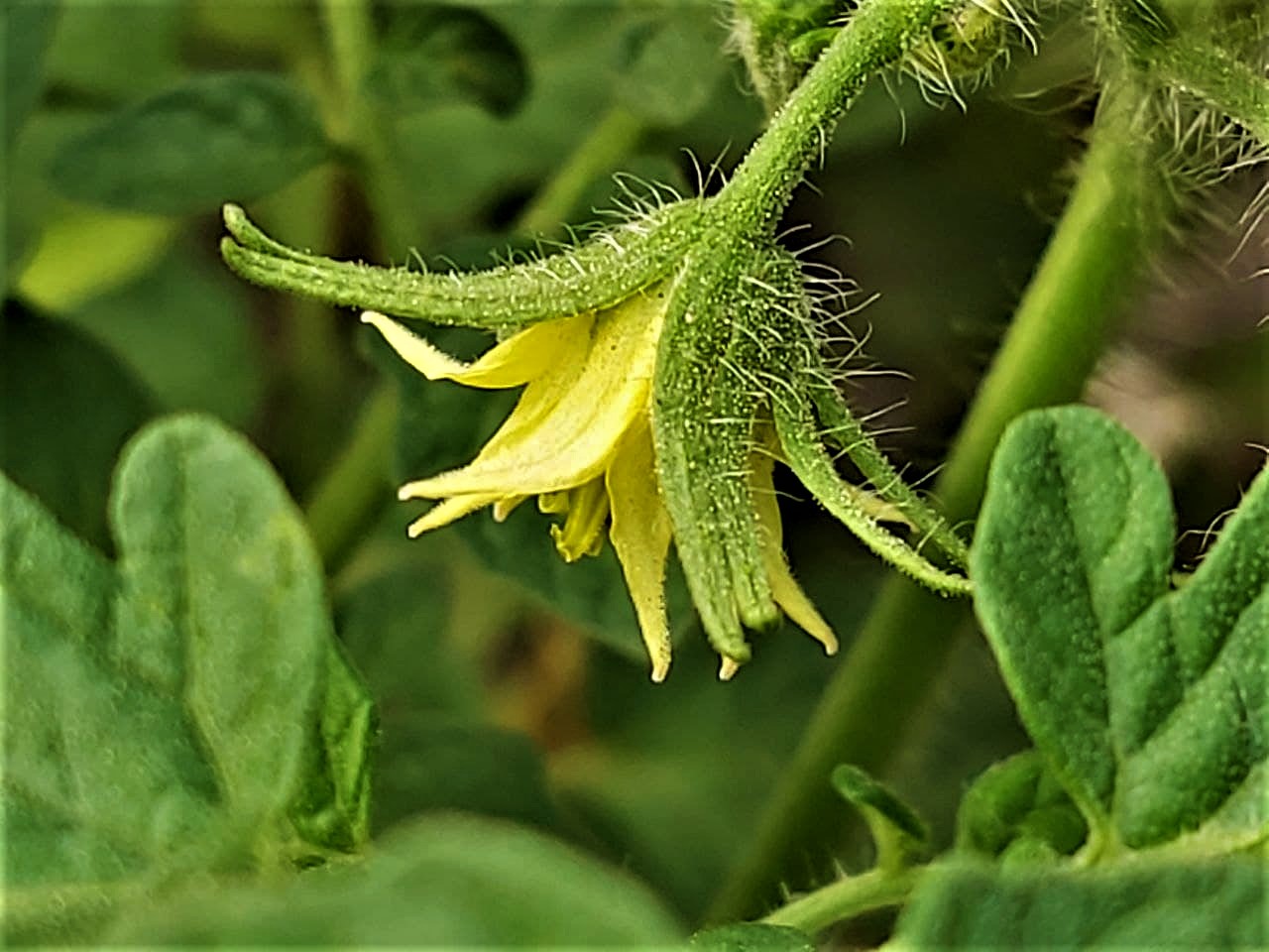 photo_2021-08-20_19-25-11 (4).jpg