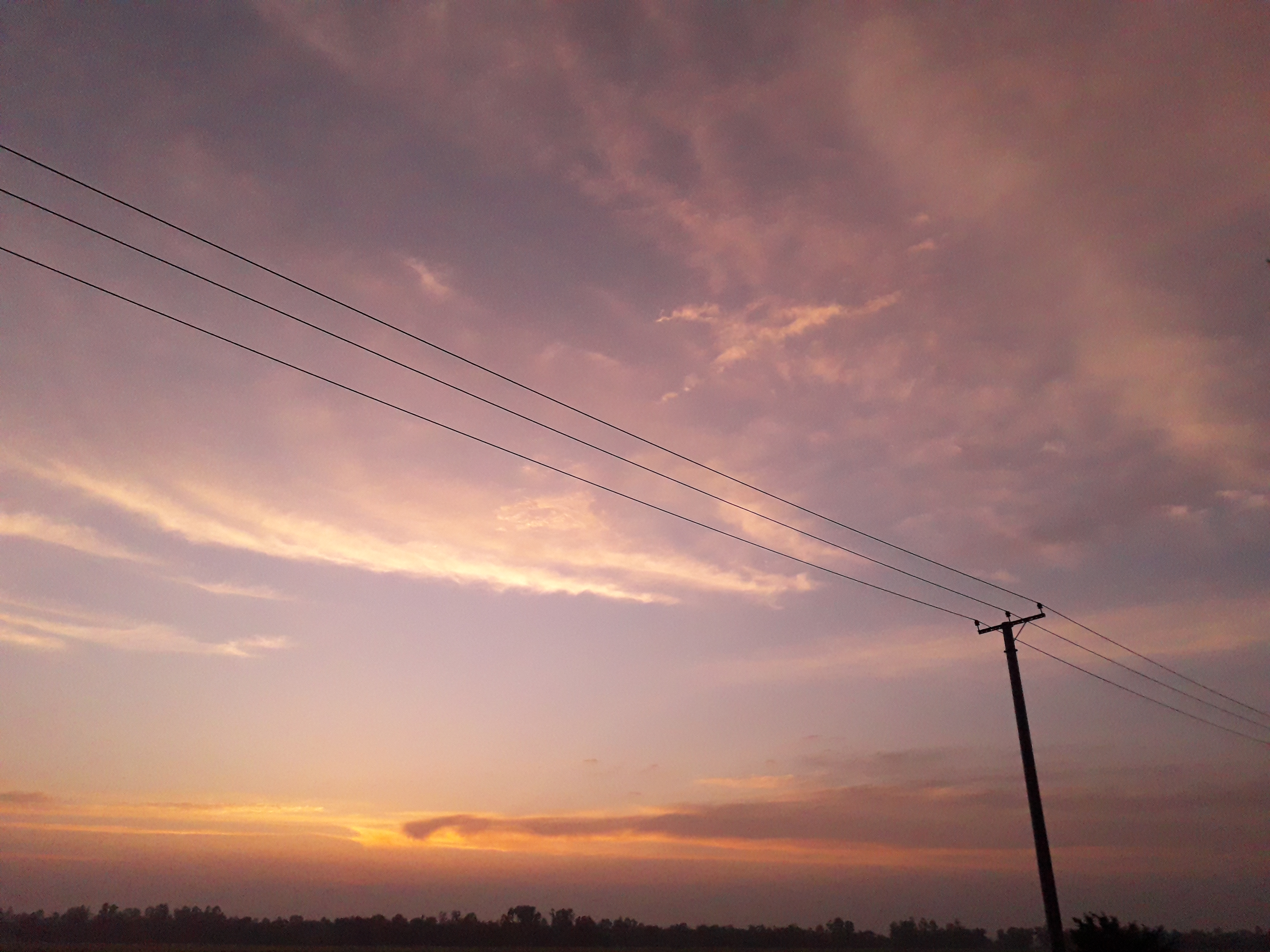 20200502_183318.jpg