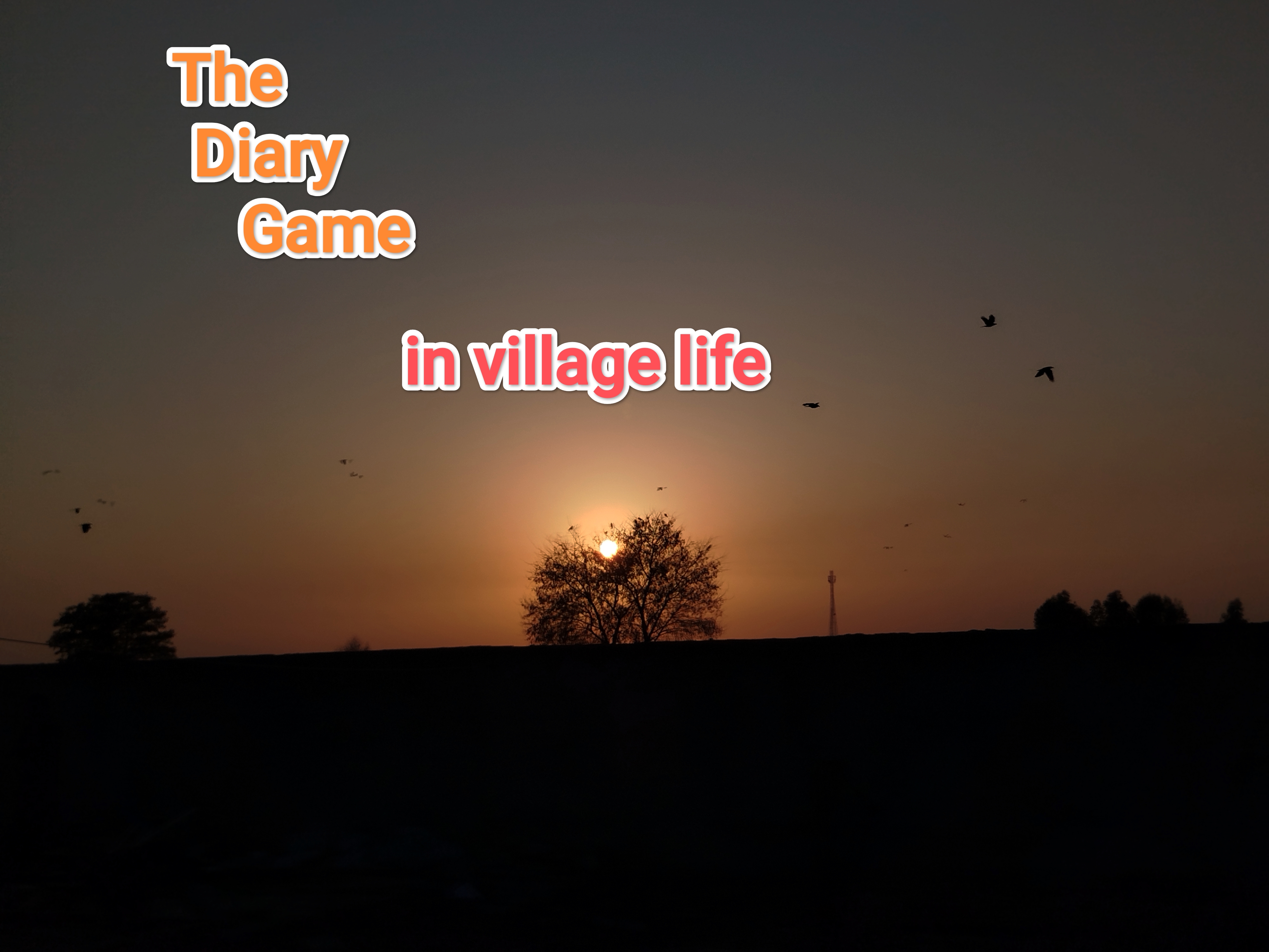 IMG_20260216_225040.jpg