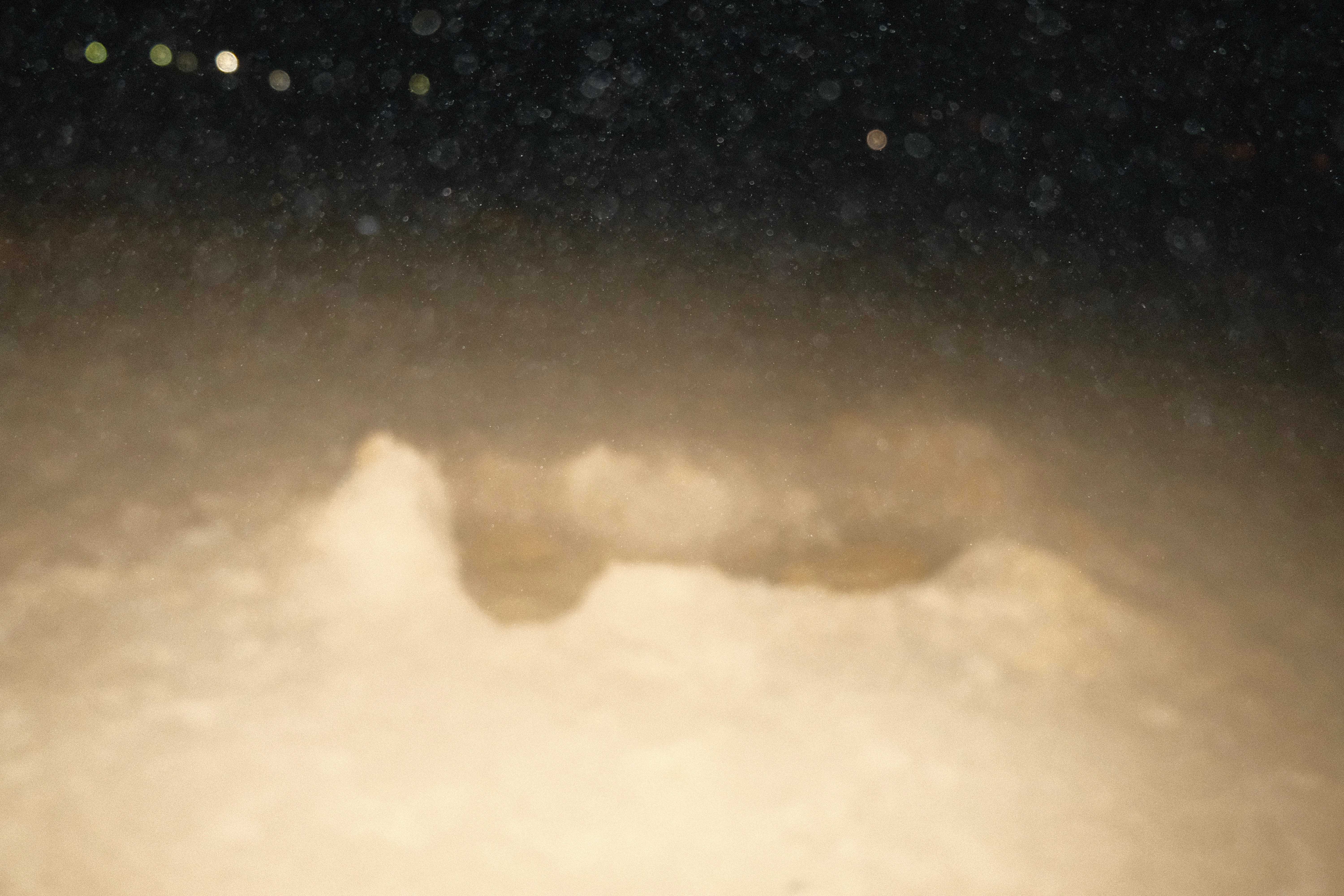 DSCF9750.jpg