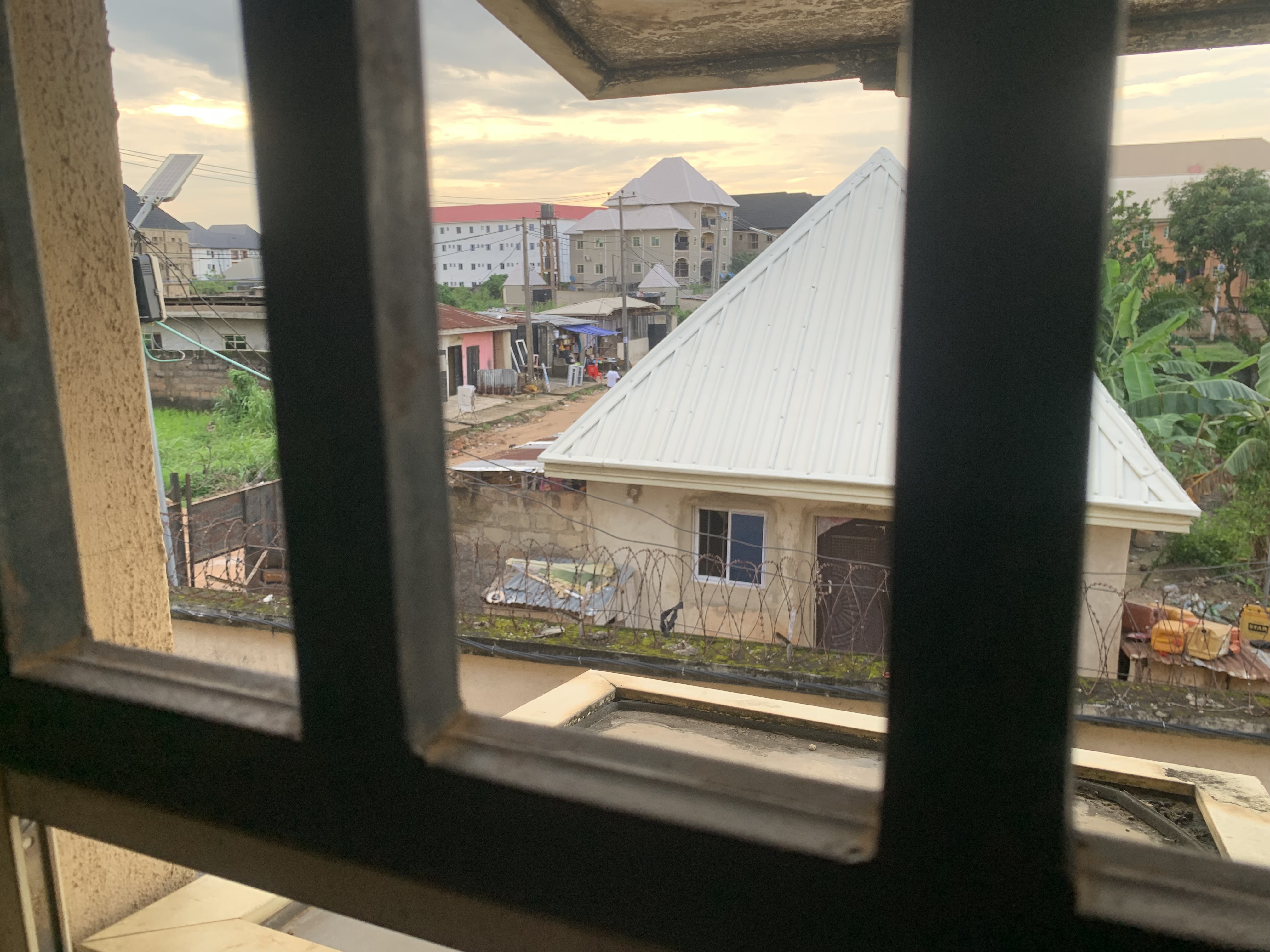 IMG_2973.jpeg