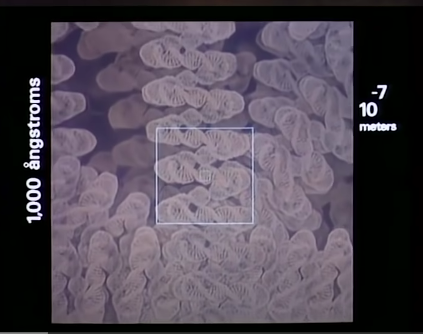 Screen Shot 2022-10-01 at 1.16.41 PM.png