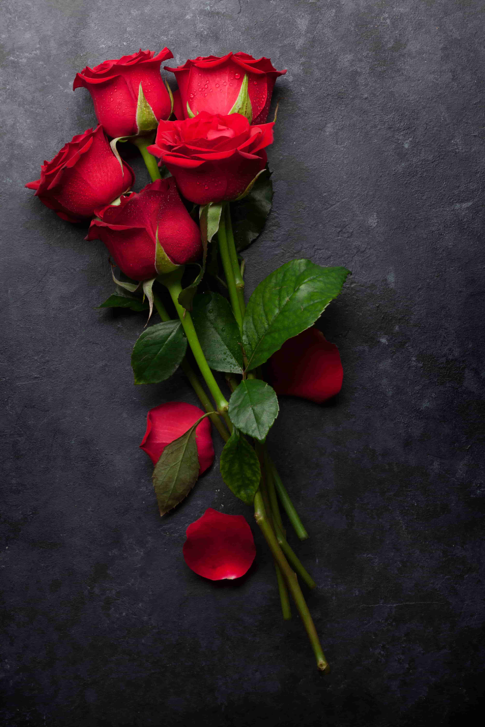 4c0efdd7be898125de1a6bf83f041f67.png