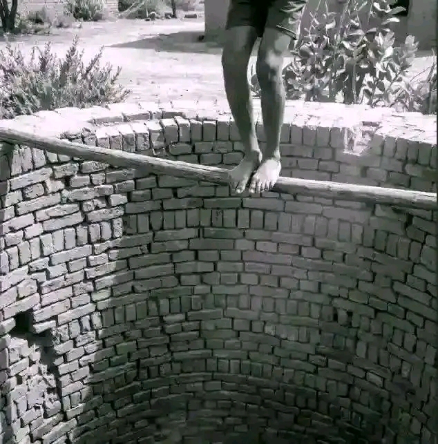 1000393947.jpg