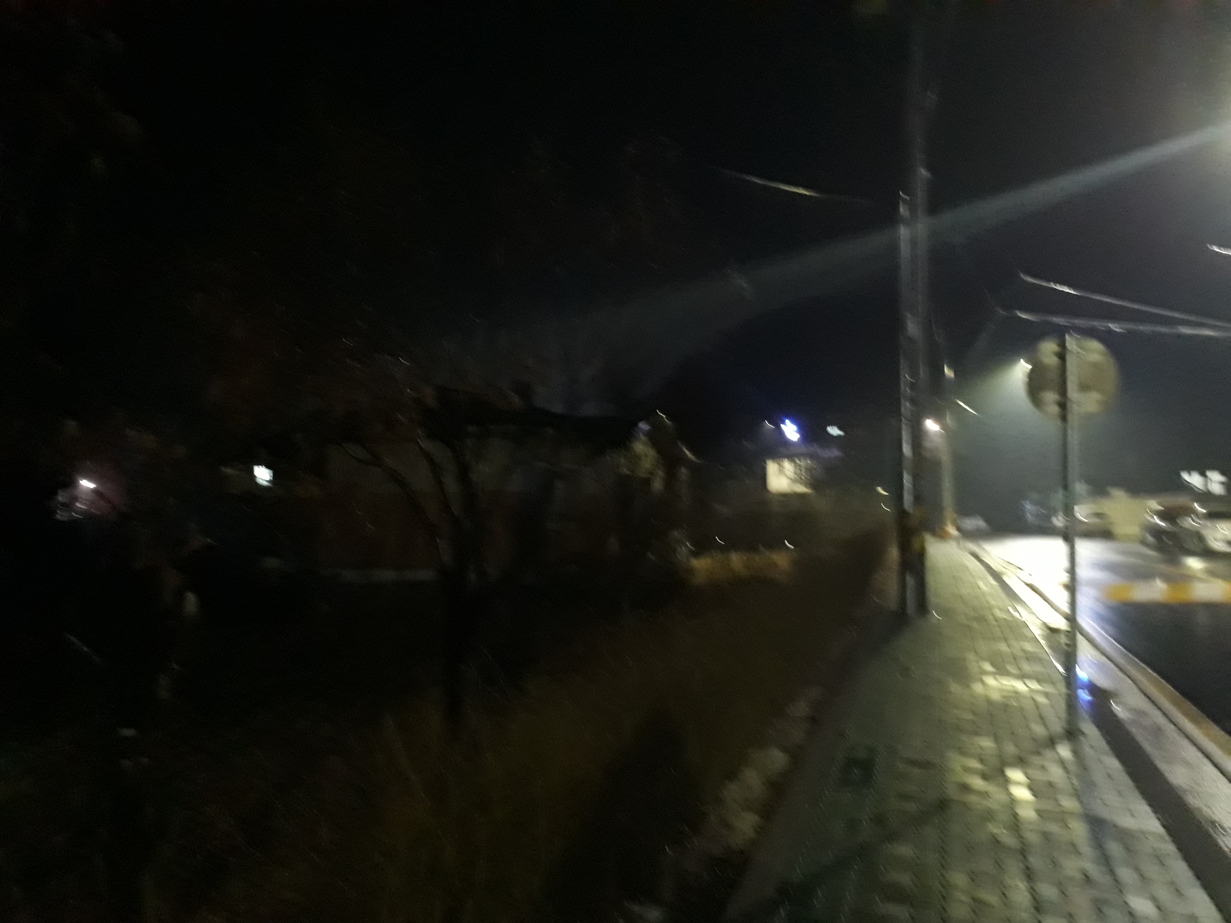 겨울비3.jpg