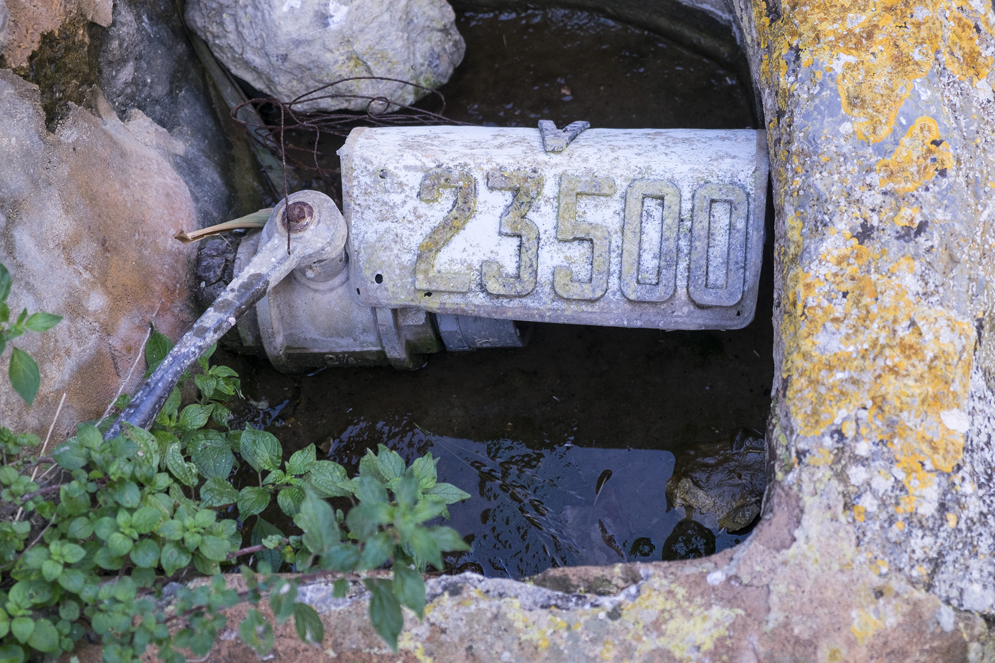 _DSF0075.jpg
