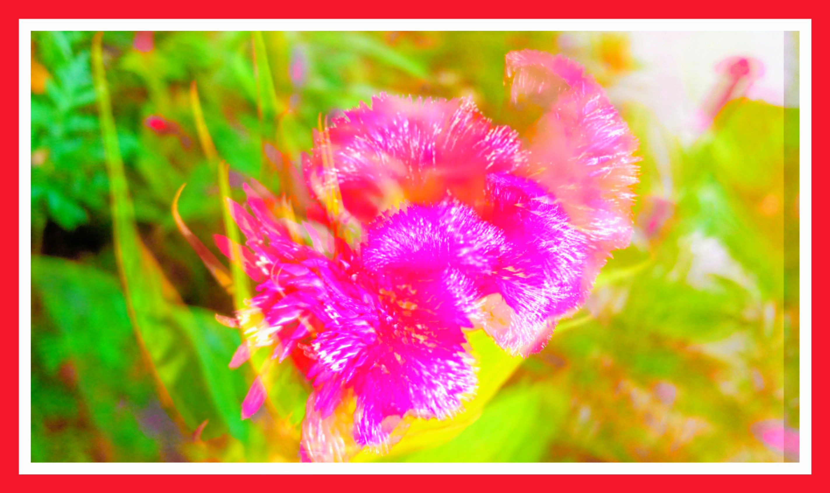 PicsArt_01-14-08.39.25~2.jpg