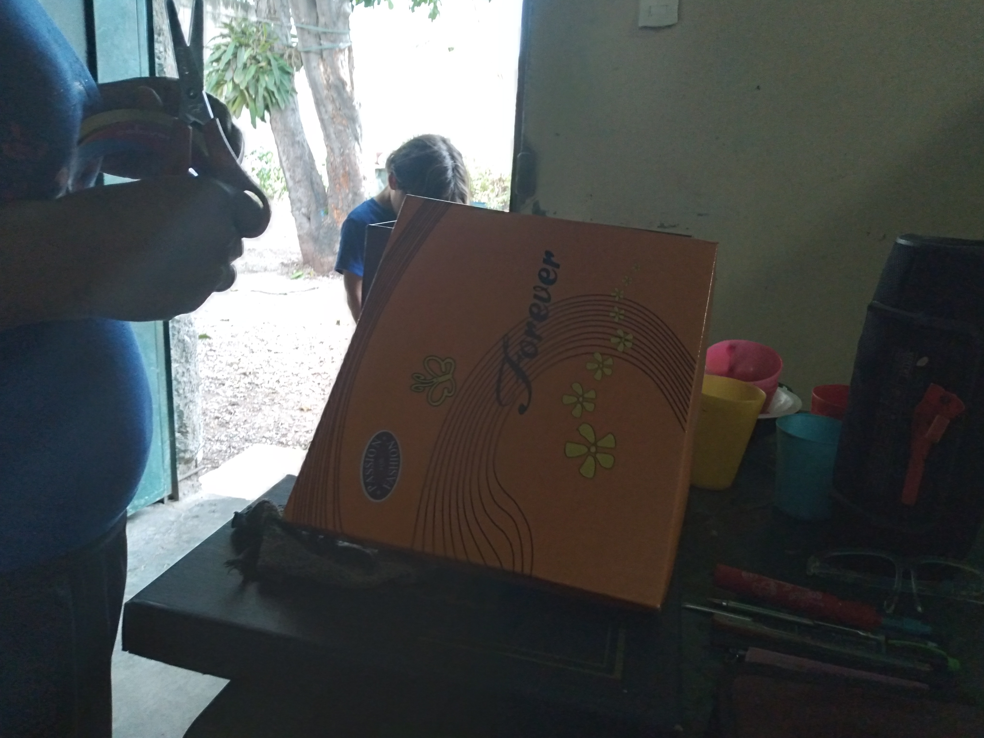 20220919_130227.jpg