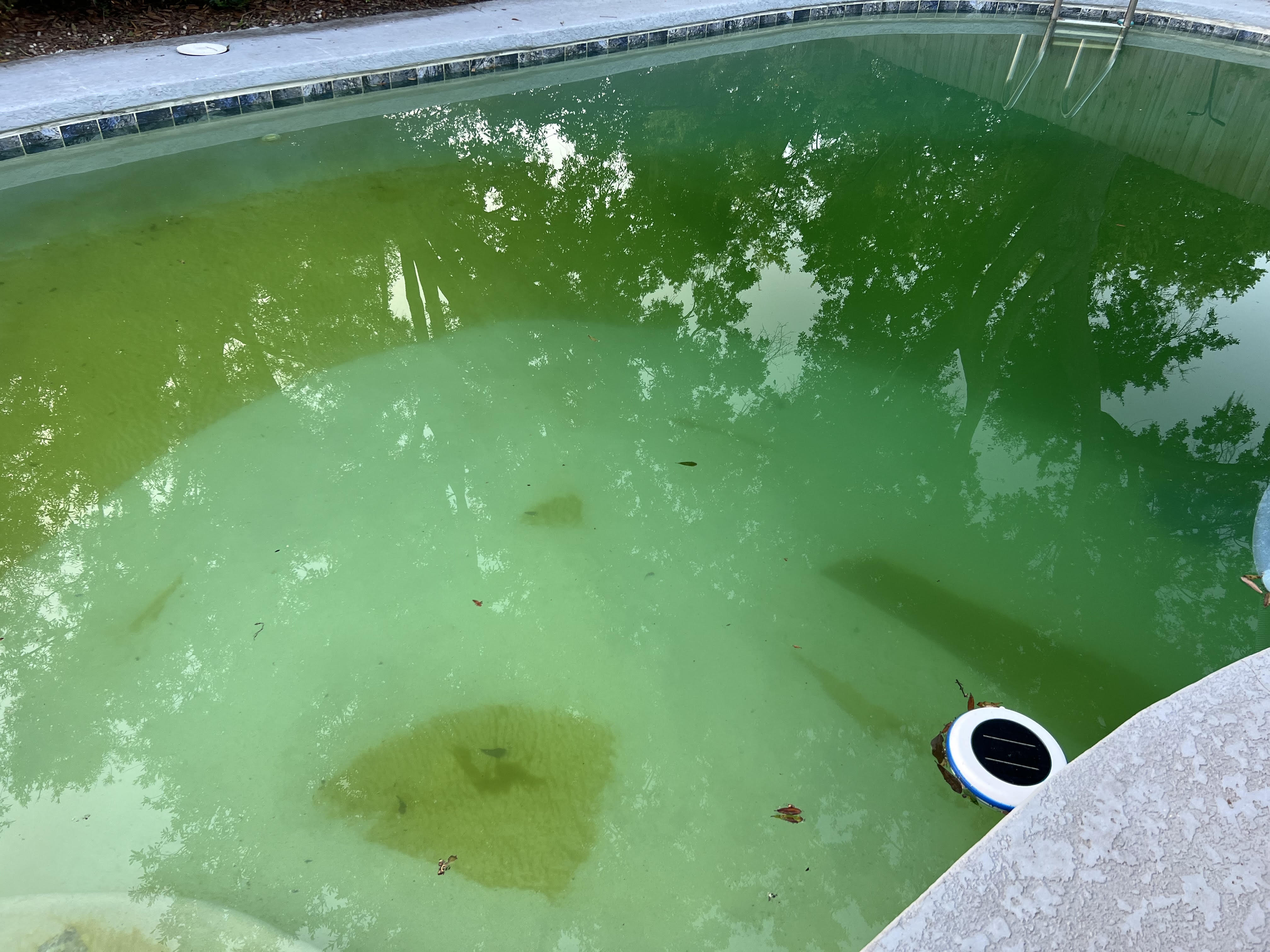 Pool 3.jpg