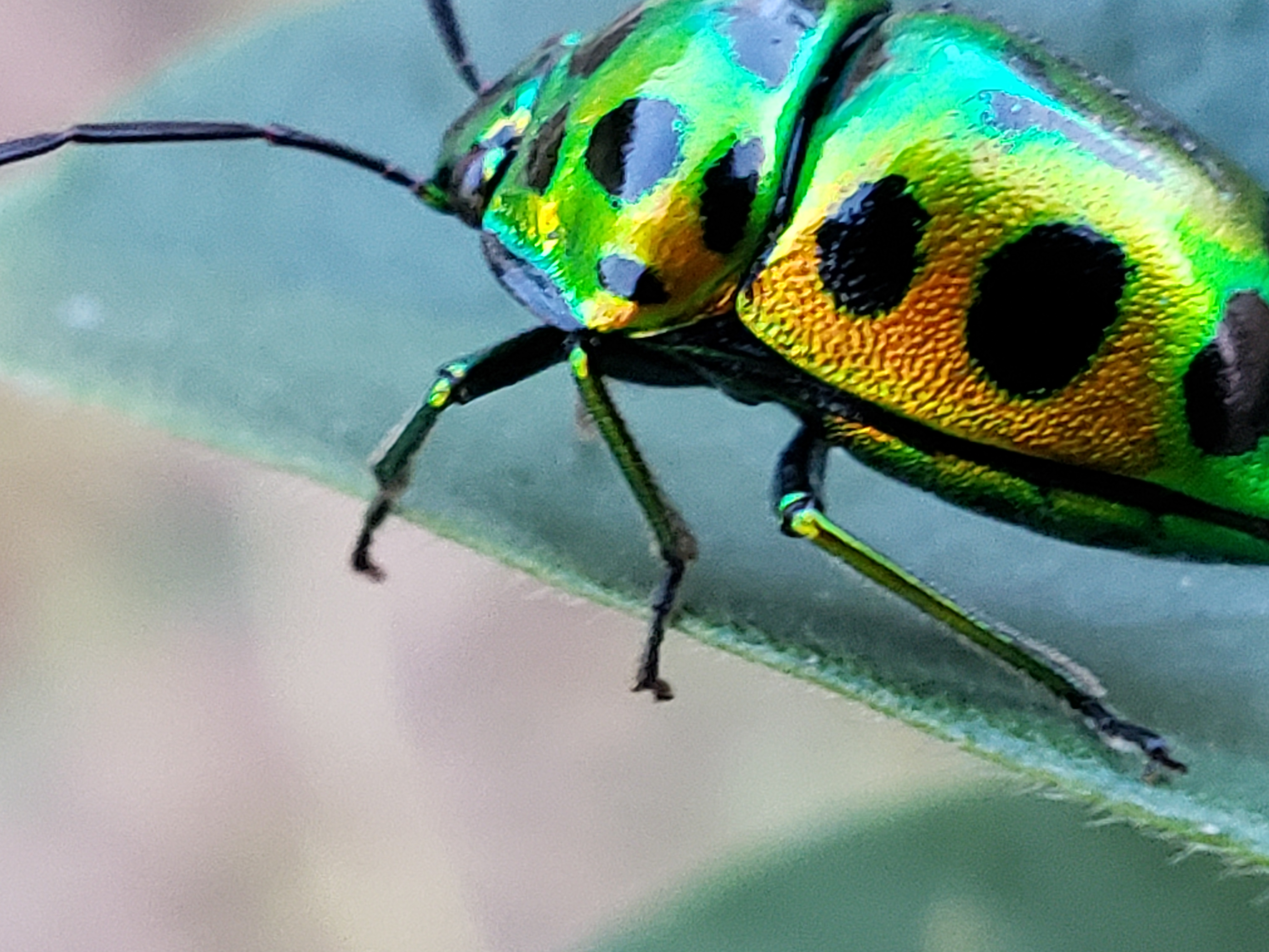 20210826_183359.jpg
