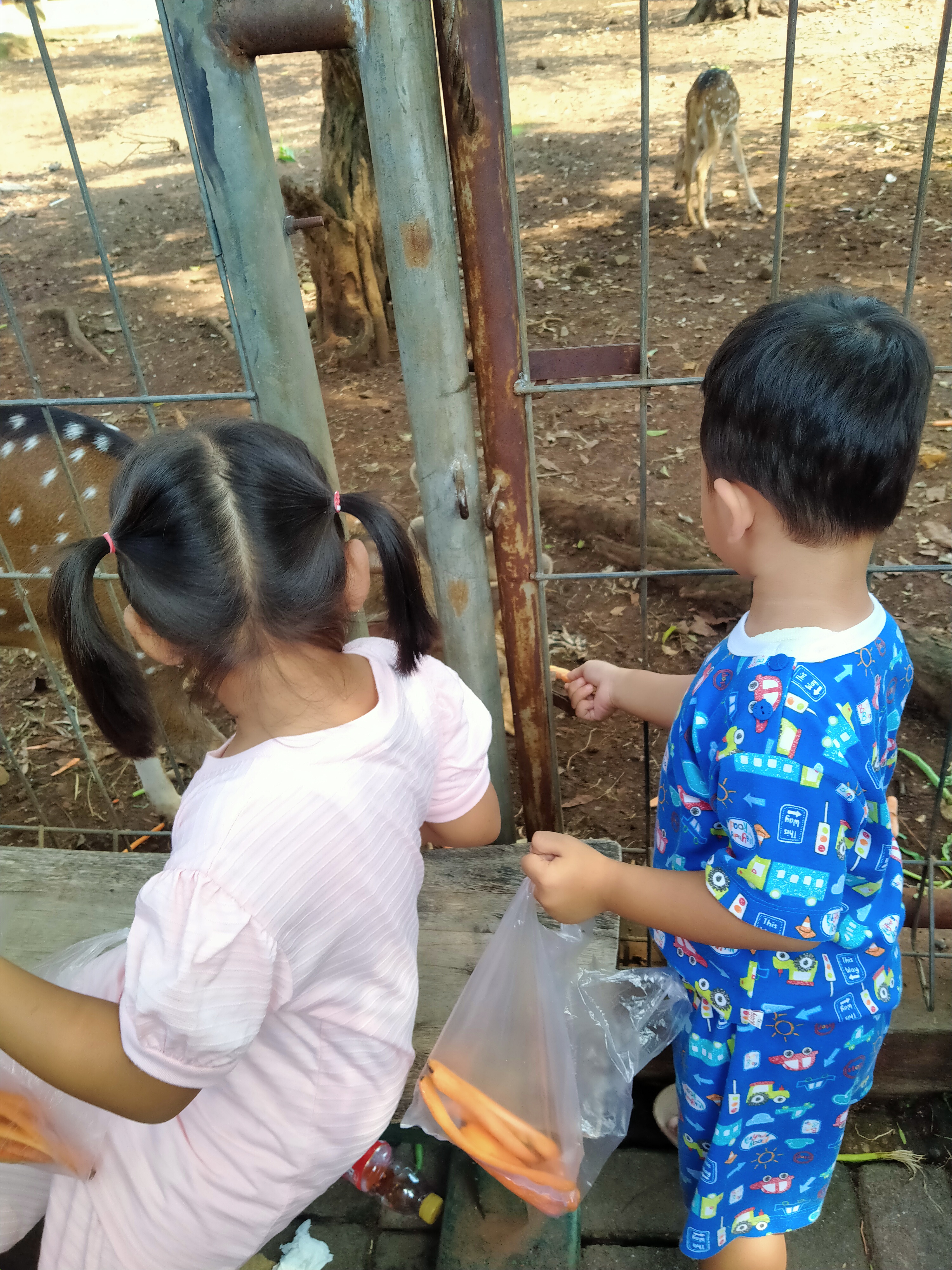 IMG20210613111639.jpg