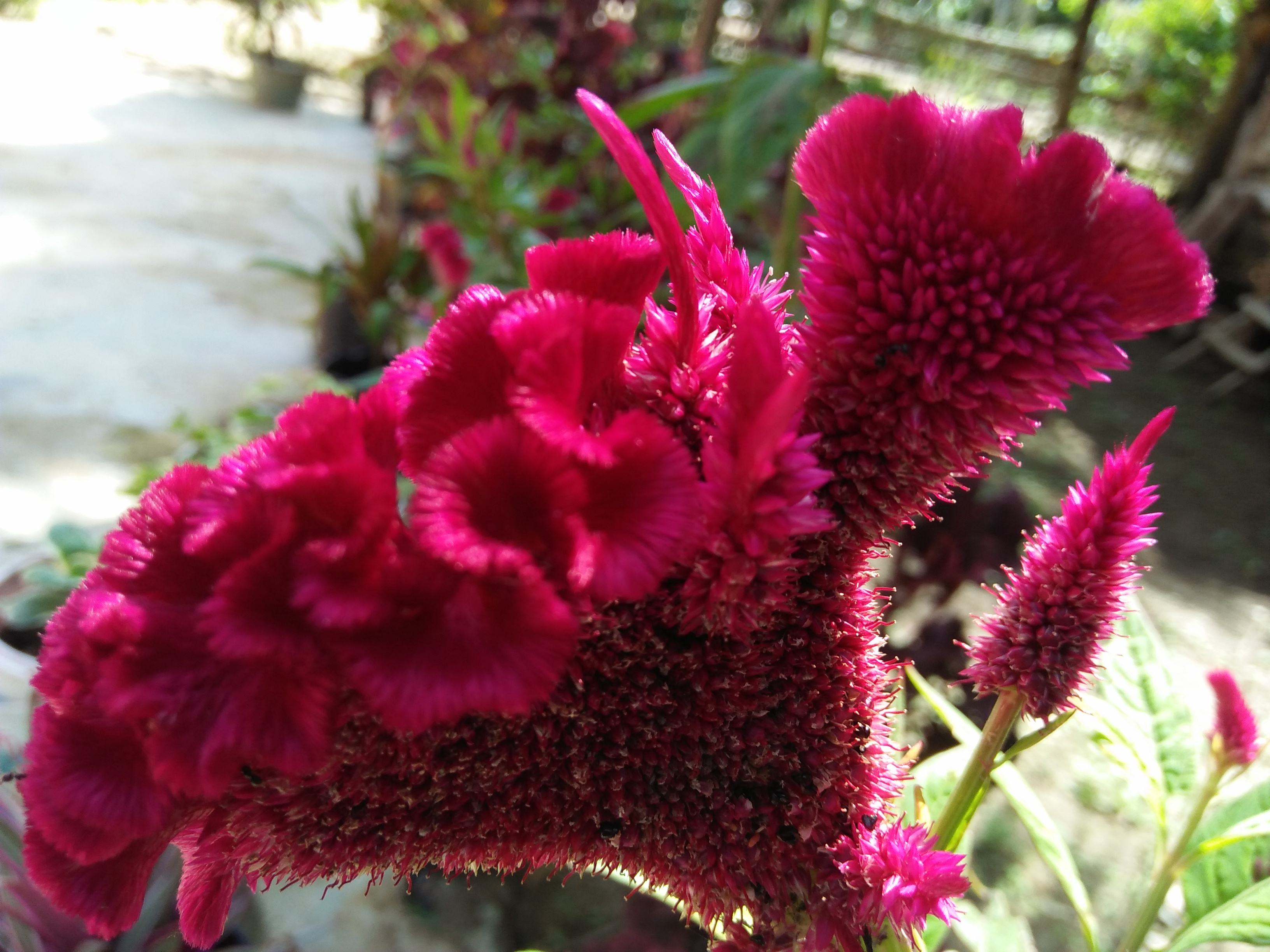 IMG20210627144142.jpg