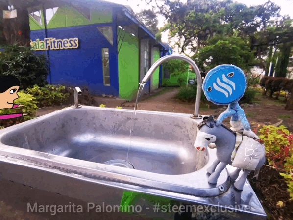 InShot_20220901_000114128.gif