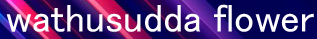 22.png