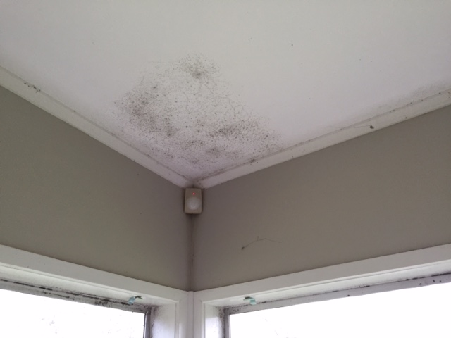 bedroom-ceiling.jpg