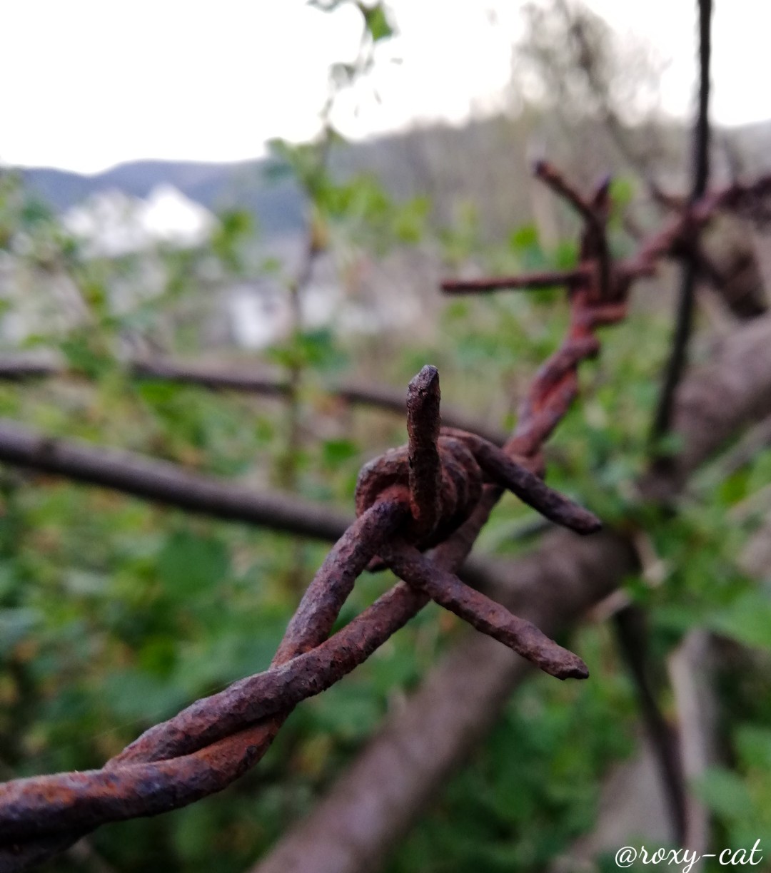 WaterMark_2019-05-15-22-50-13.jpg