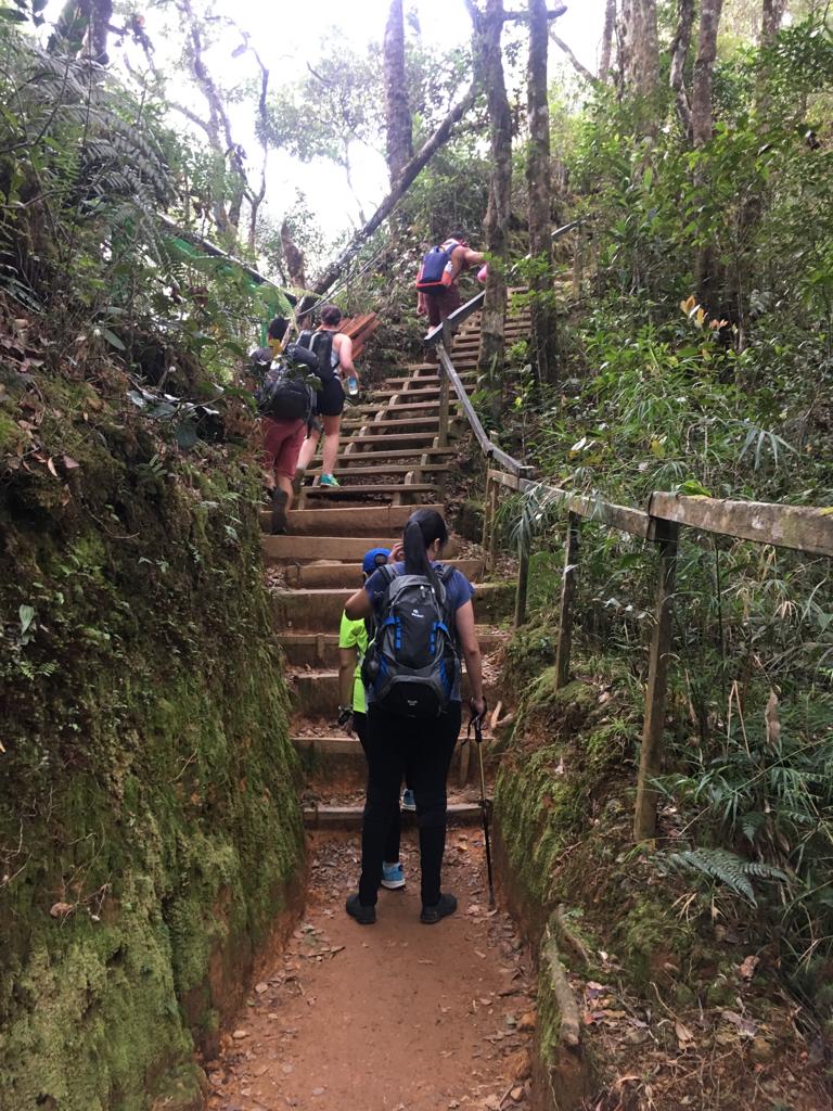 stairs.jpeg