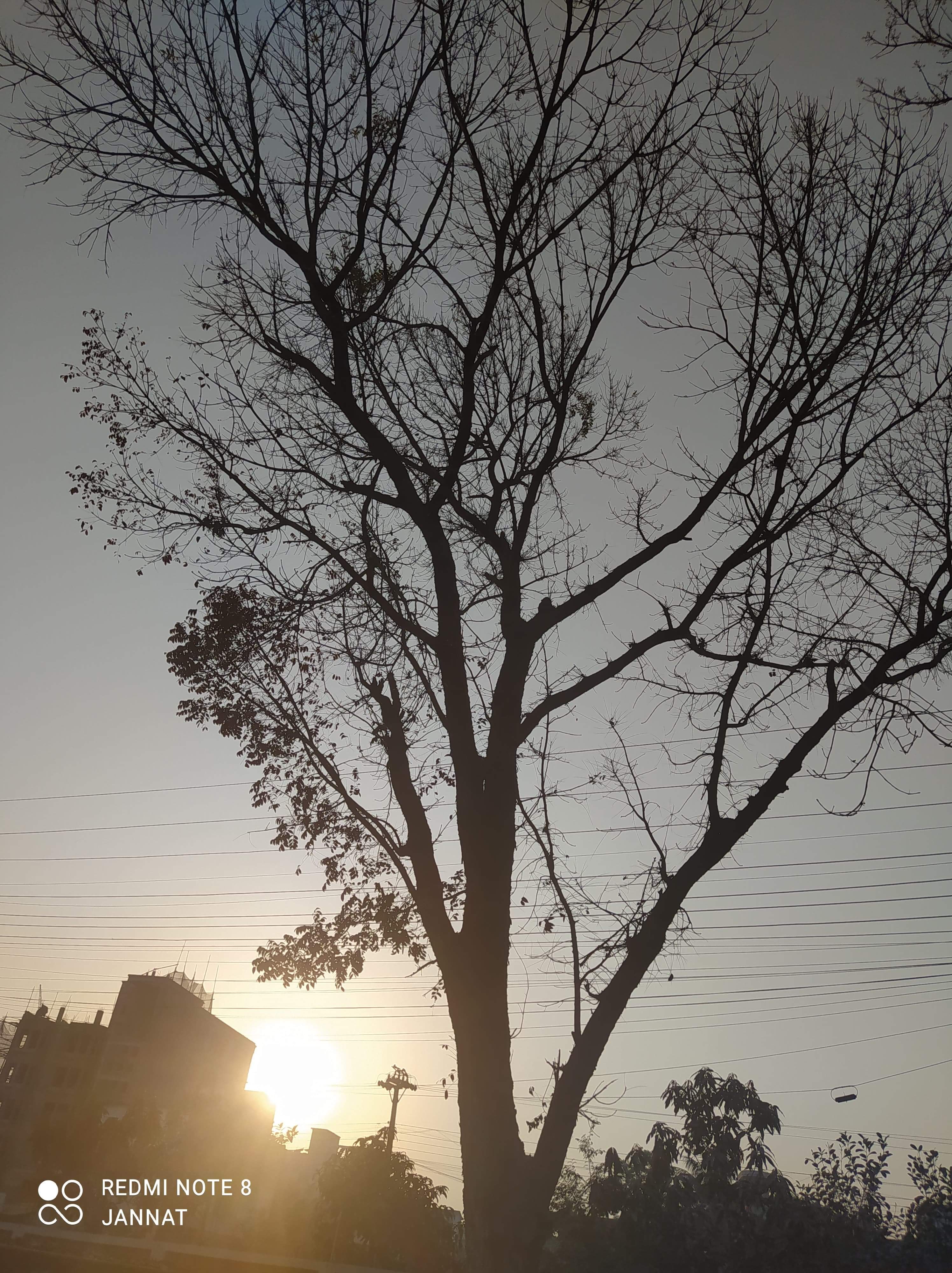 received_220896163114809.jpeg