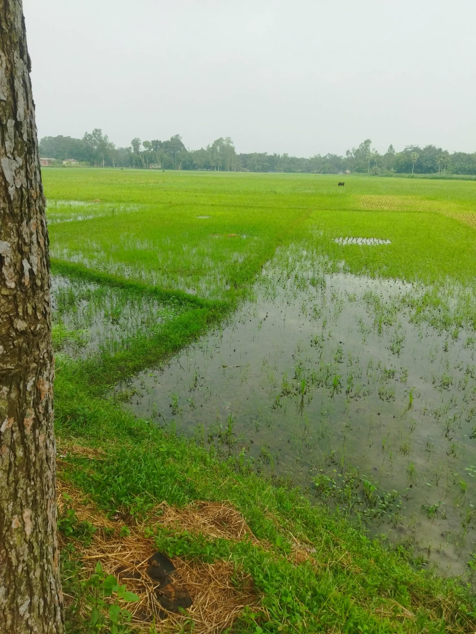 Messenger_creation_40D1D0D6-35DF-47E6-BCC3-CA0EE1C50540.jpeg