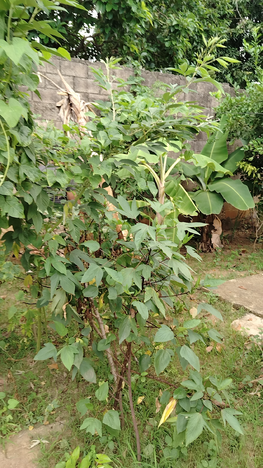 1000370351.jpg