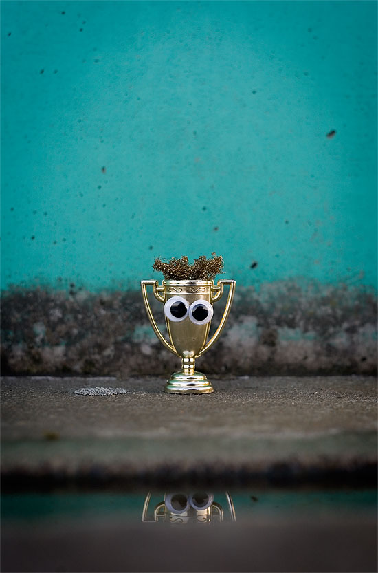 GooglyPrize GooglyEyes bonus image 105