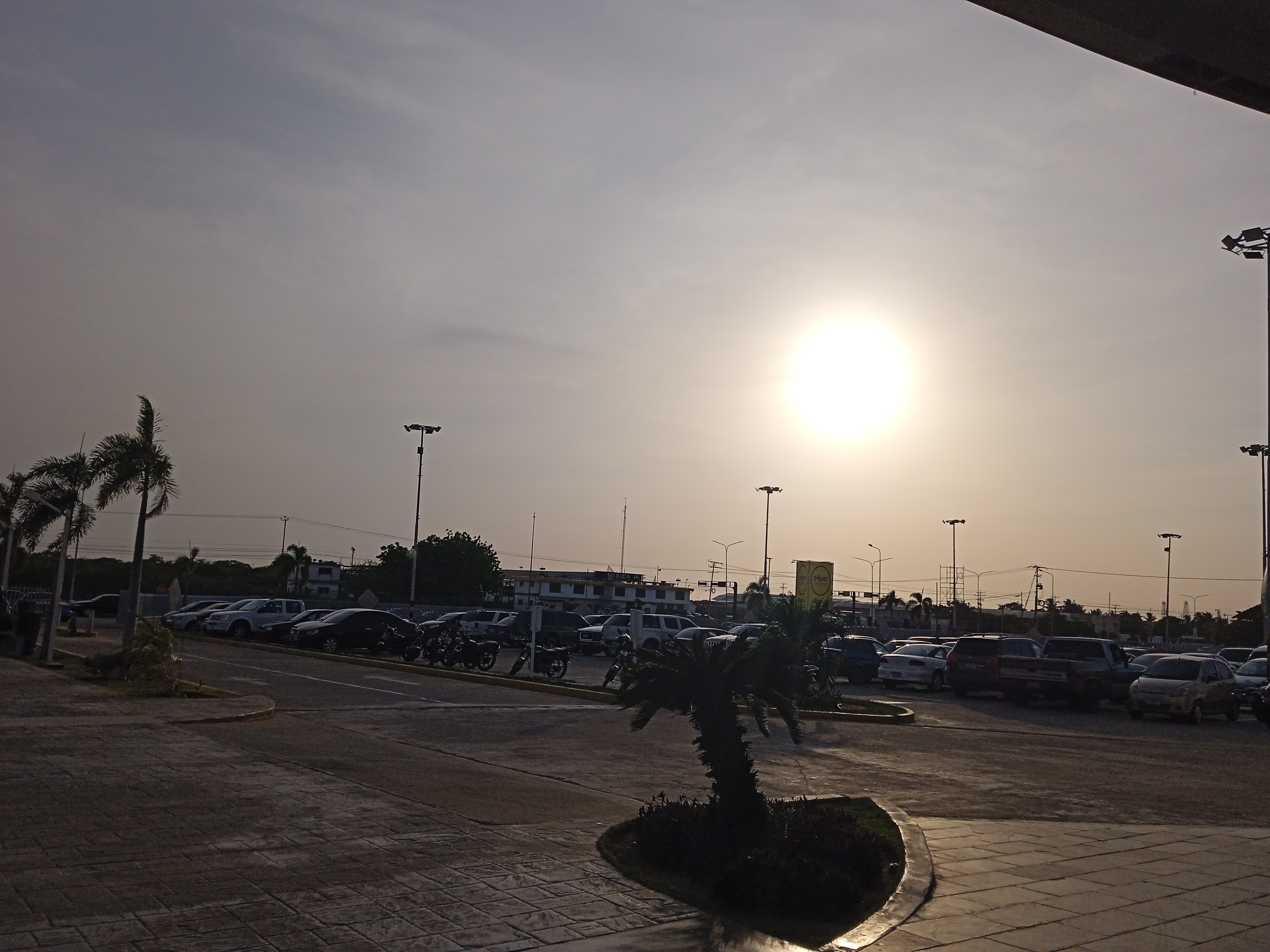 IMG_20260510_175552_1.jpg