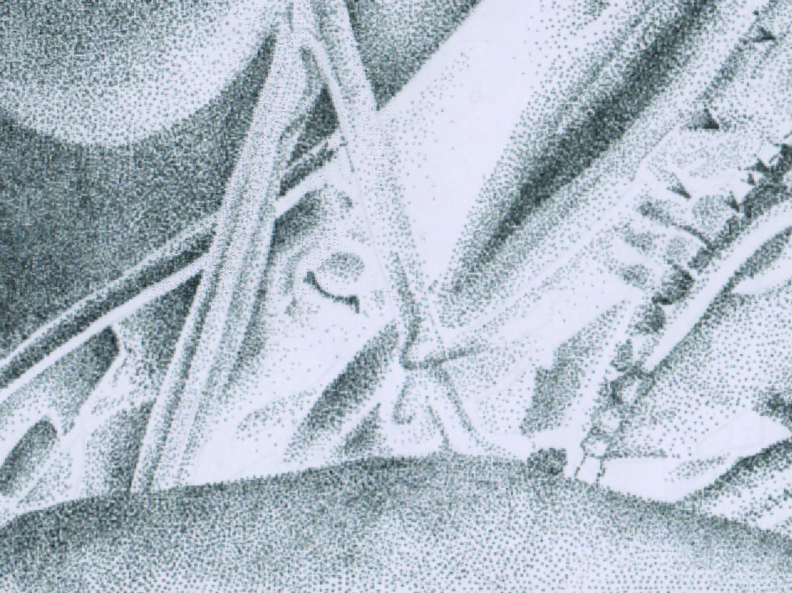 mantis-01-01-01-01-01.jpg