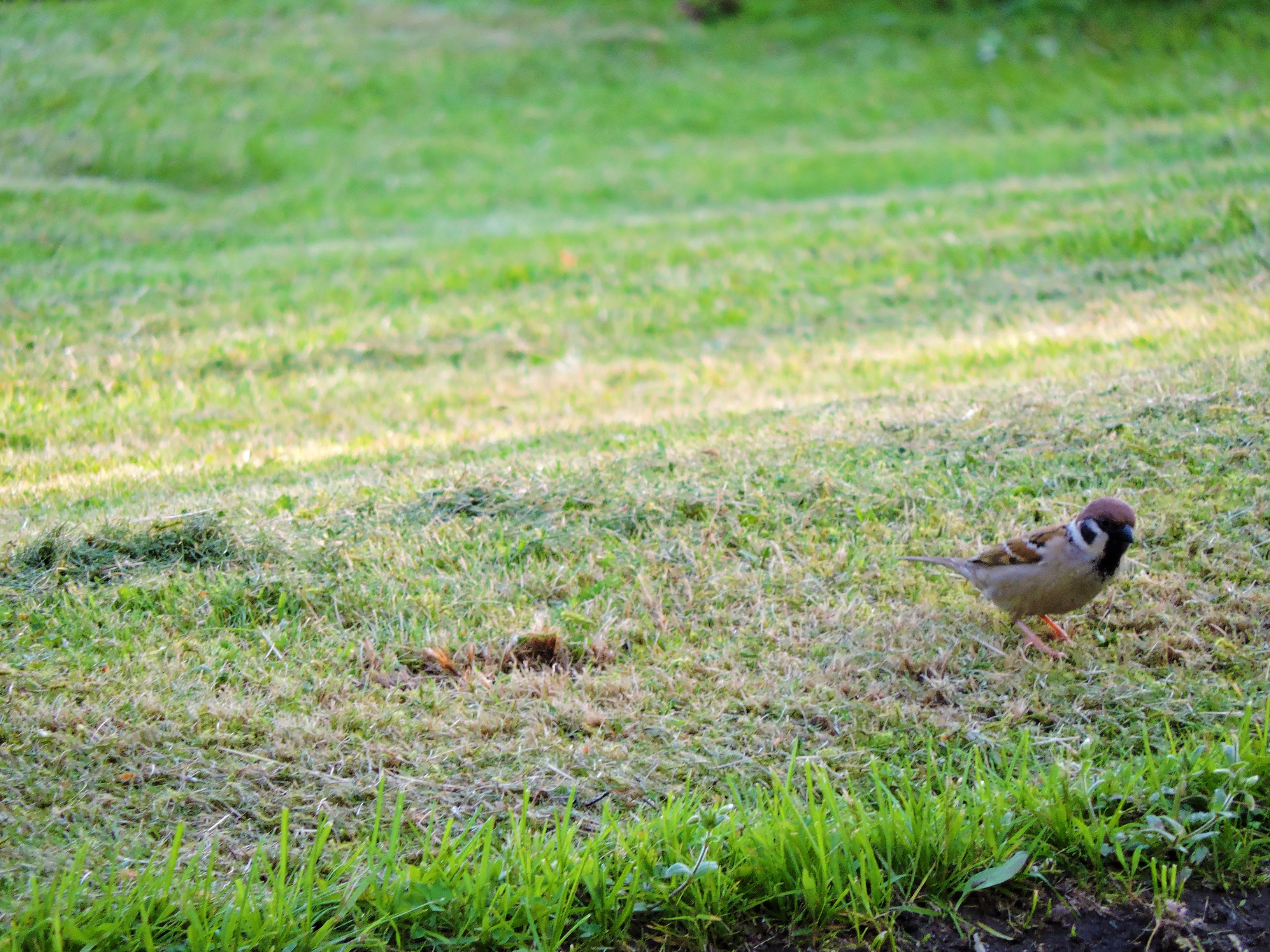 DSCN4623.JPG