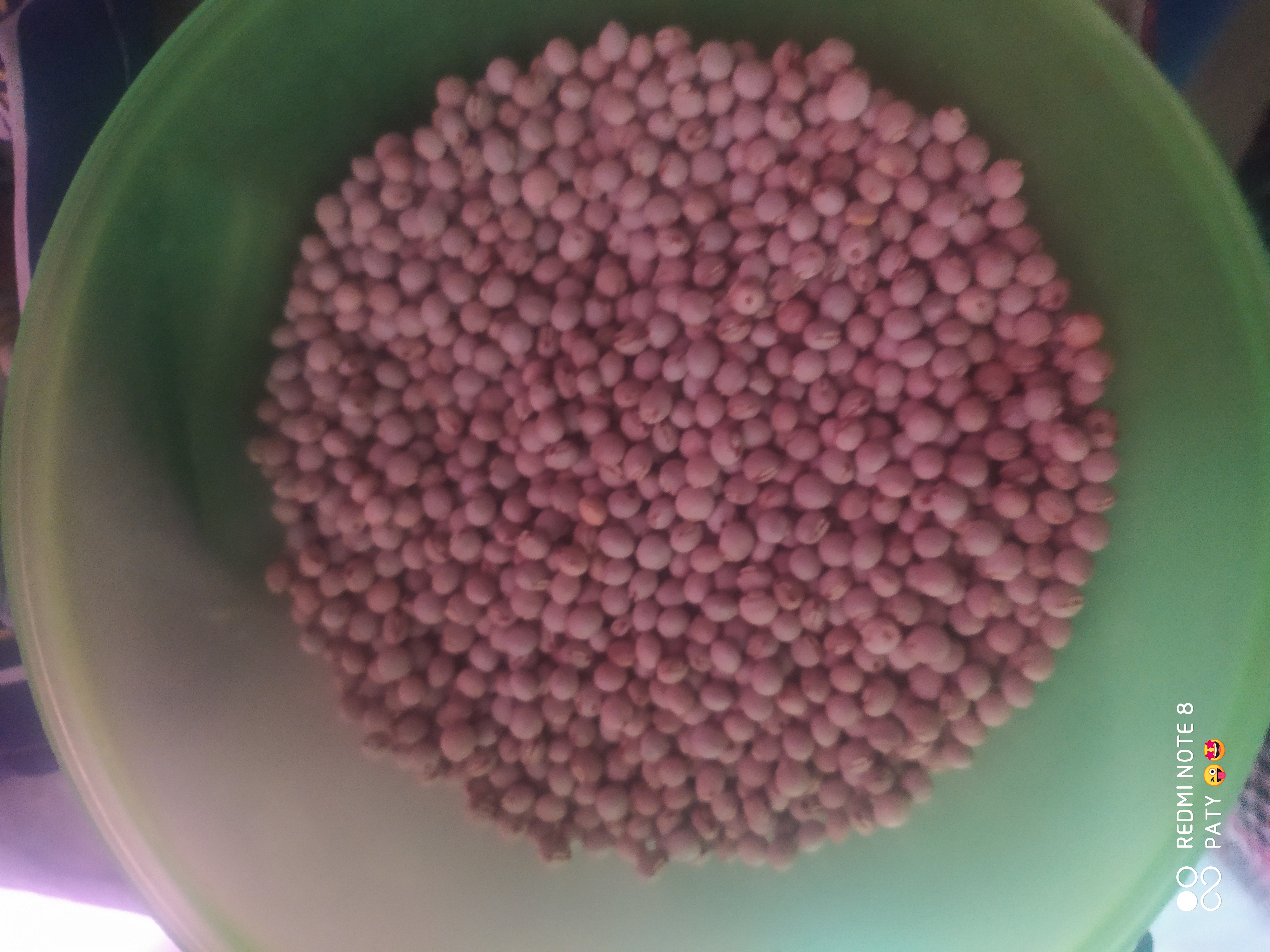 IMG_20211019_082408.jpg