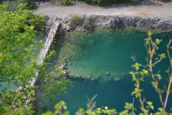 _IMG_1542391821065.jpg