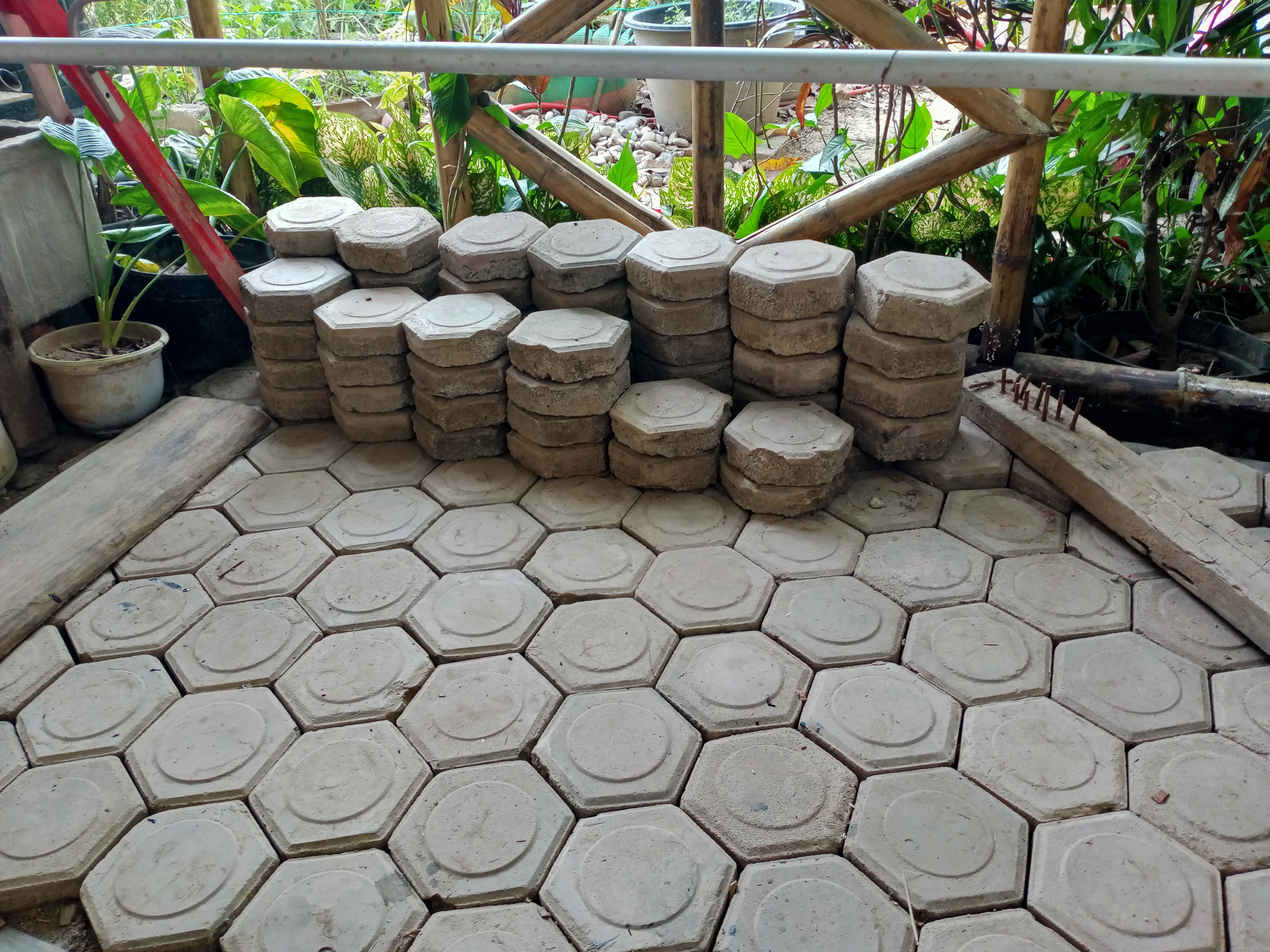IMG20260713153614.jpg