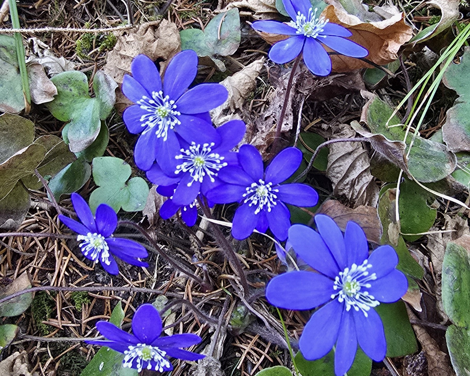 20260308_154736.jpg