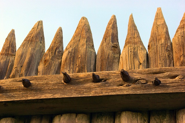 fort-parker-palisade-3584793_640.jpg