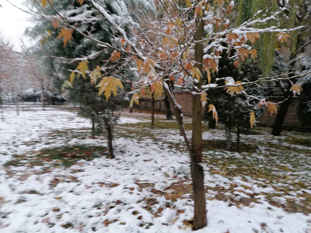 imagepark123 (23).jpeg